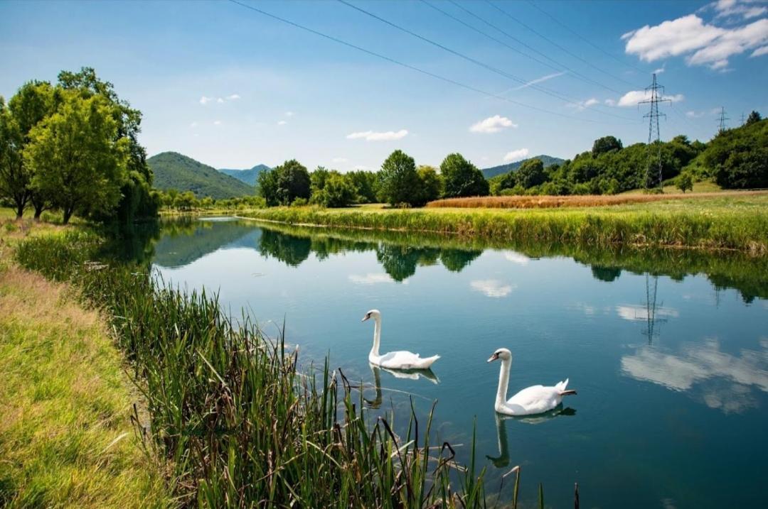 Apartman Swans Otočac Zewnętrze zdjęcie